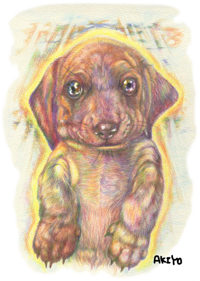 クリスマス 赤ちゃんビットブルのワンイラスト Www Gigascope Net