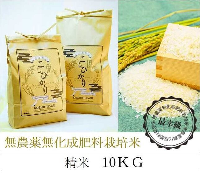 兵庫県丹波産 農薬不使用コシヒカリ玄米１０㎏（令和４年産）