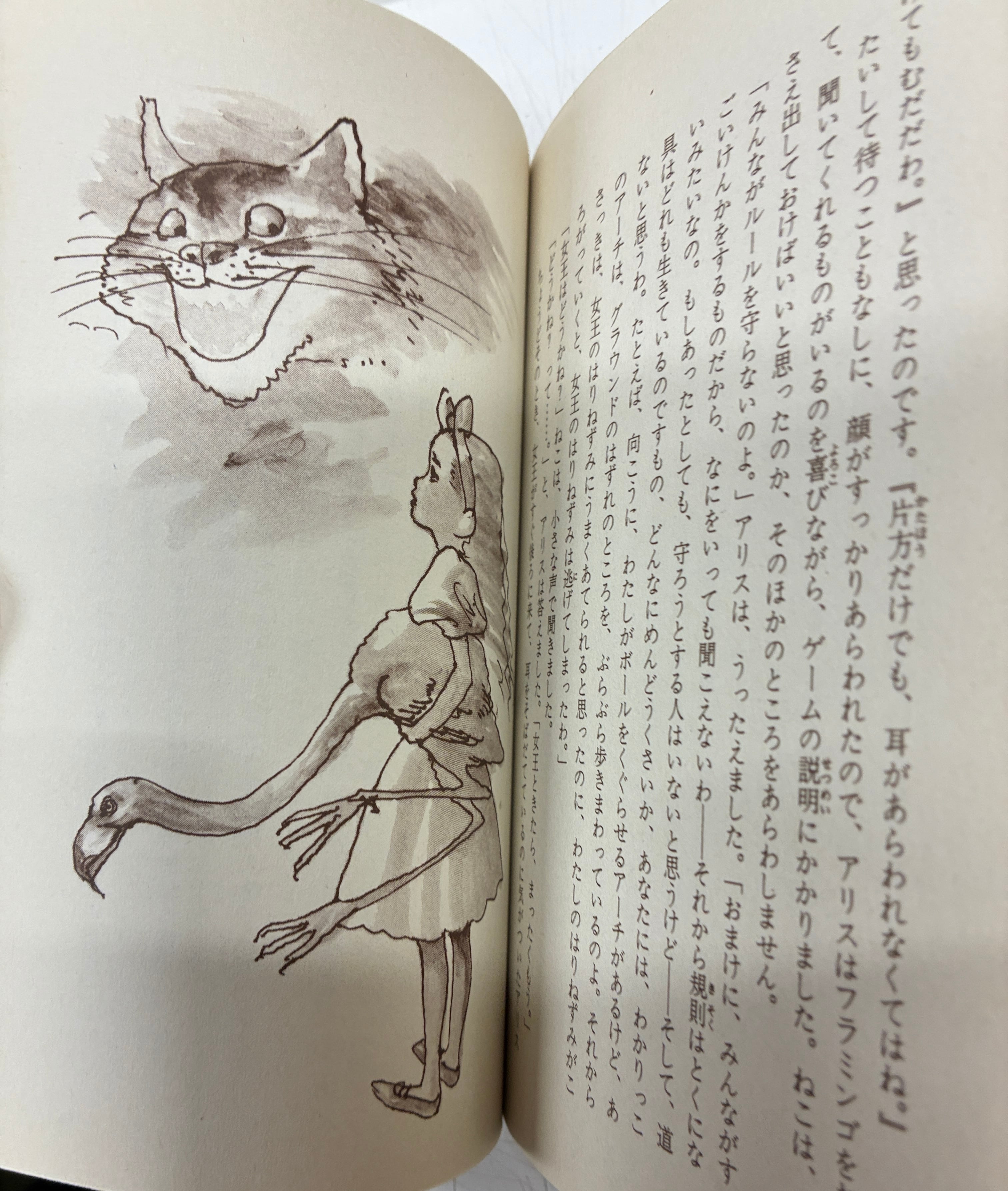 宇野亜喜良 ふしぎの国のアリス 立原えりか てんとう虫ブックス 1988年