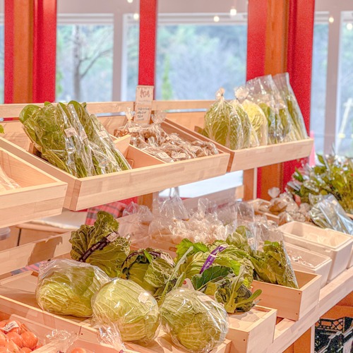 採れたての野菜3300円相当 画像