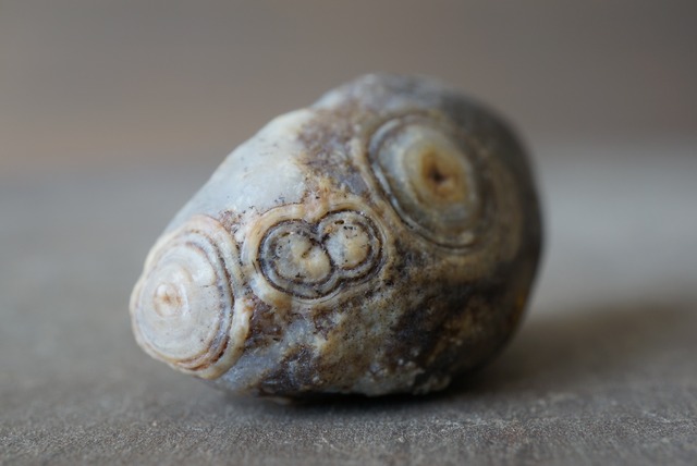 ゴビアゲート Gobi Agate 1313