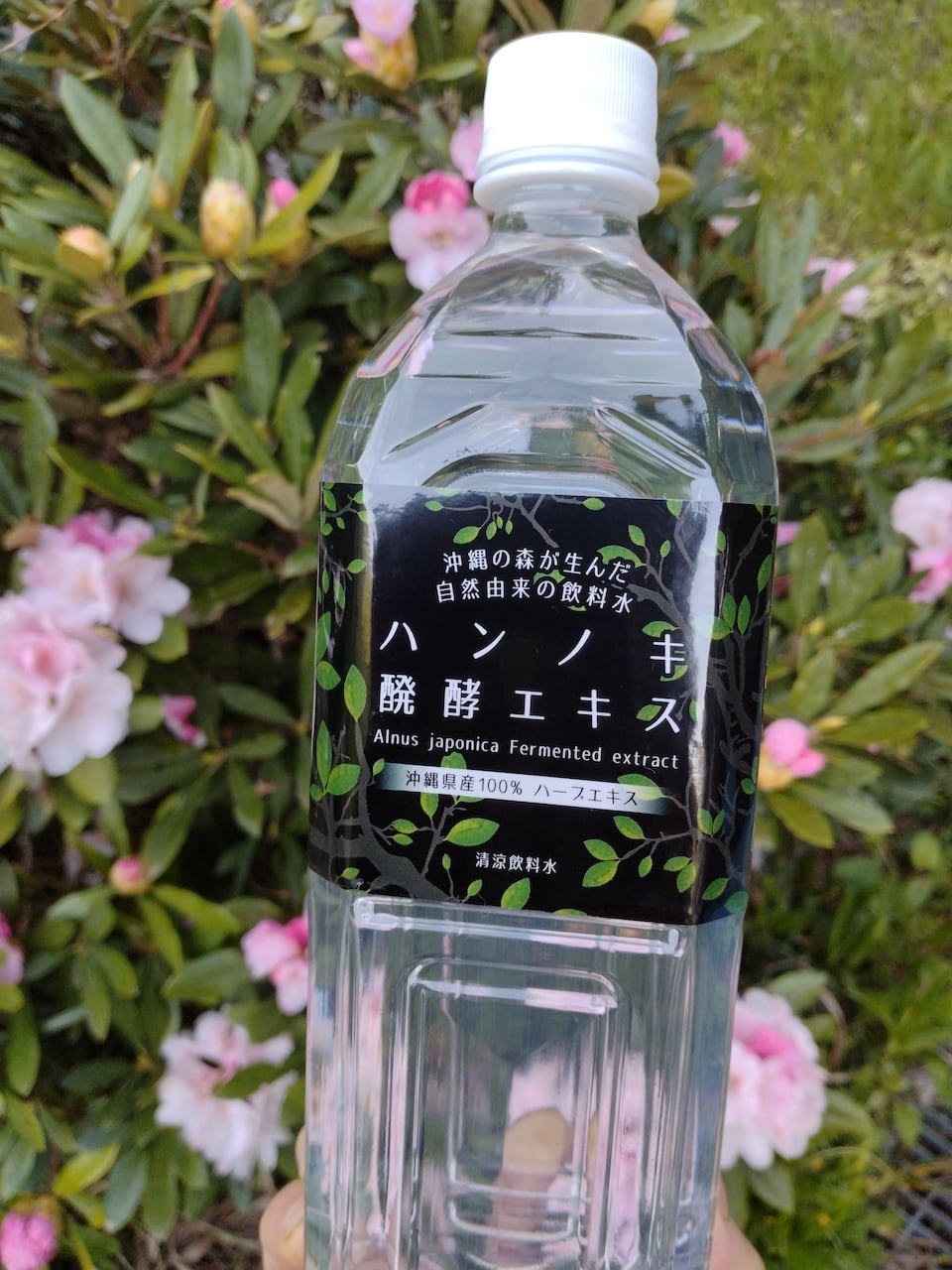沖縄産｜ハンノキ醗酵エキス｜1000ml | はるな商店 ｜世界をつくるお