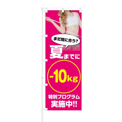 のぼり旗【 夏までに -10kg 特別プログラム 実施中 】NOB-KT0147 幅650mm ワイドモデル！ほつれ防止加工済 フィットネスジムやエステサロンの集客などに最適！ 1枚