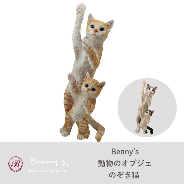 Benny’s ベニーズ キャットのぞき猫