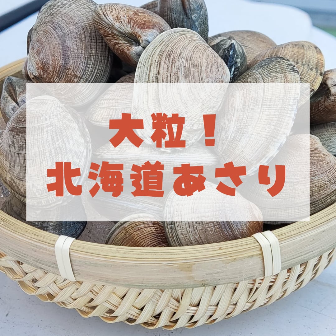 あさり 国産あさり（アサリ）1kg 生まれも育ちも『鹿児島県産！天然養殖アサリ