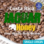 コスタリカ / ジャガー ハニー F-SHB(100g)