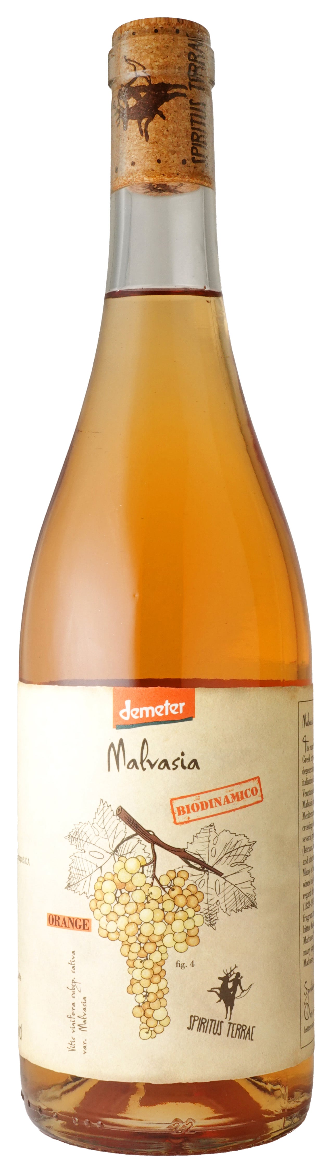 スピリタス・テッレ・マルヴァジア・オレンジ　24　カンティーナ・オルソーニャ　Spiritus Terrae Malvasia Orange　24　Cantina Orsogna