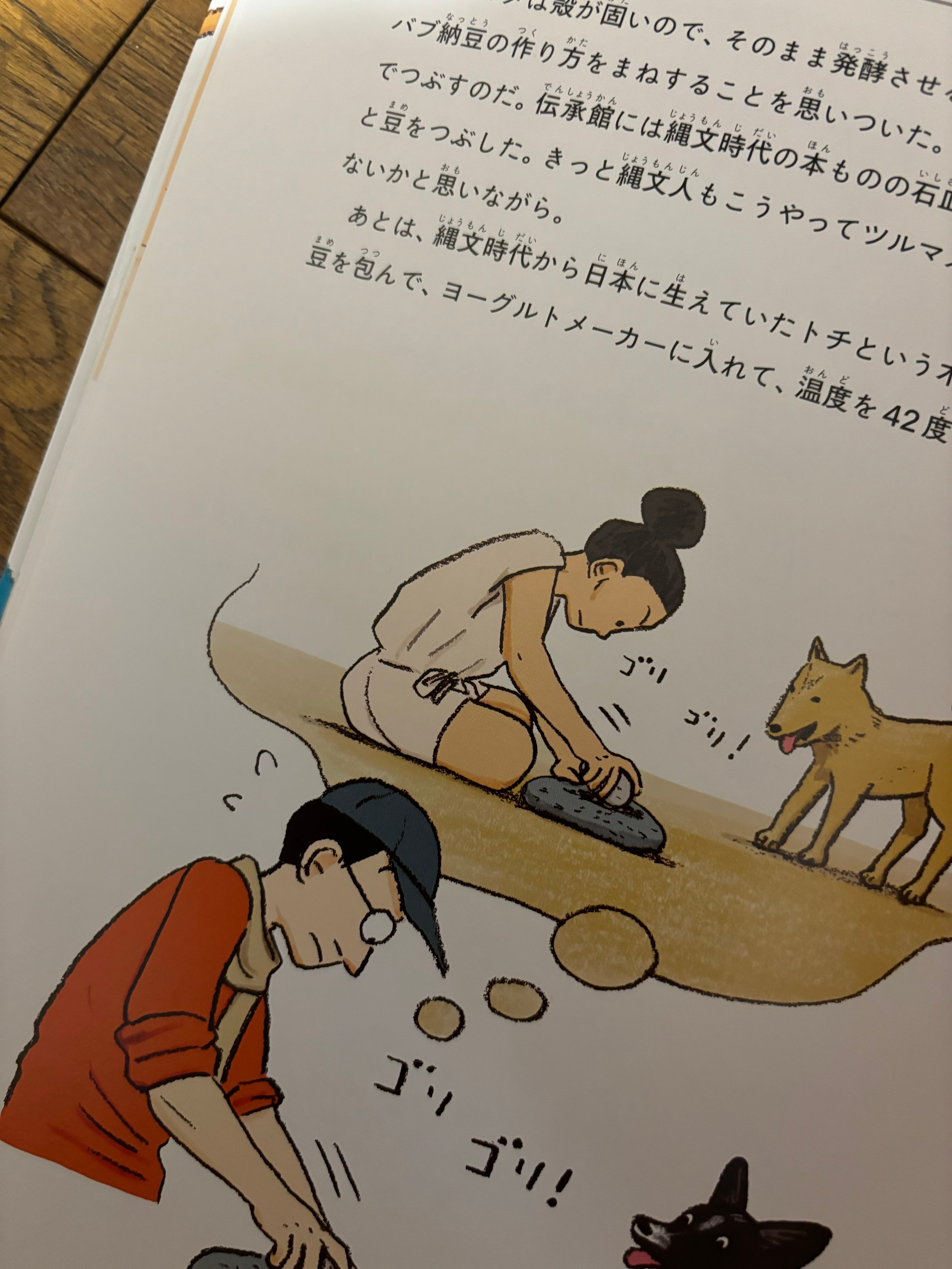 世界の納豆をめぐる探検 | ほんのみせ マドカラ