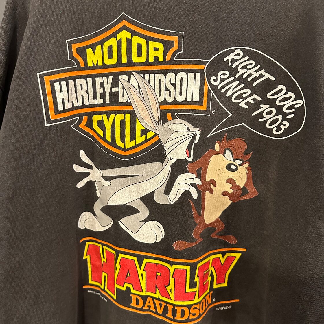 90s Harley-Davidson Sweat | Pay ID
