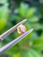 非加熱オレンジサファイア オーバル 6.4x4.5mm, 0.60ct, マダガスカル産