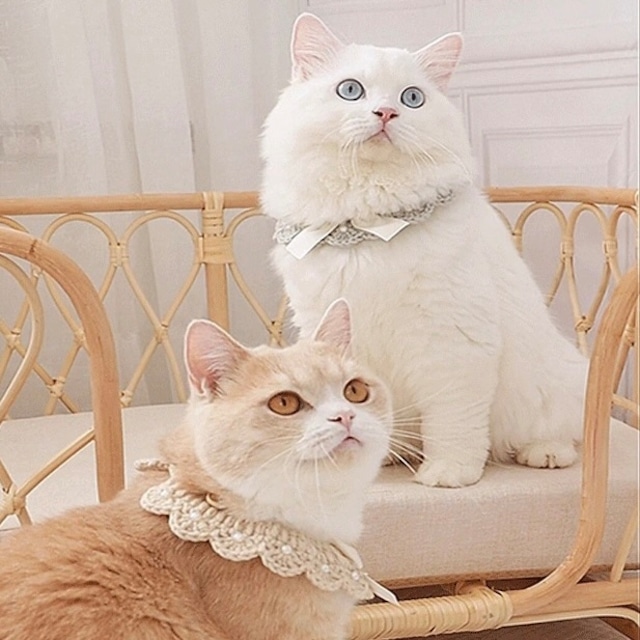 ニットパールリボンチョーカー 猫 首輪 付け襟