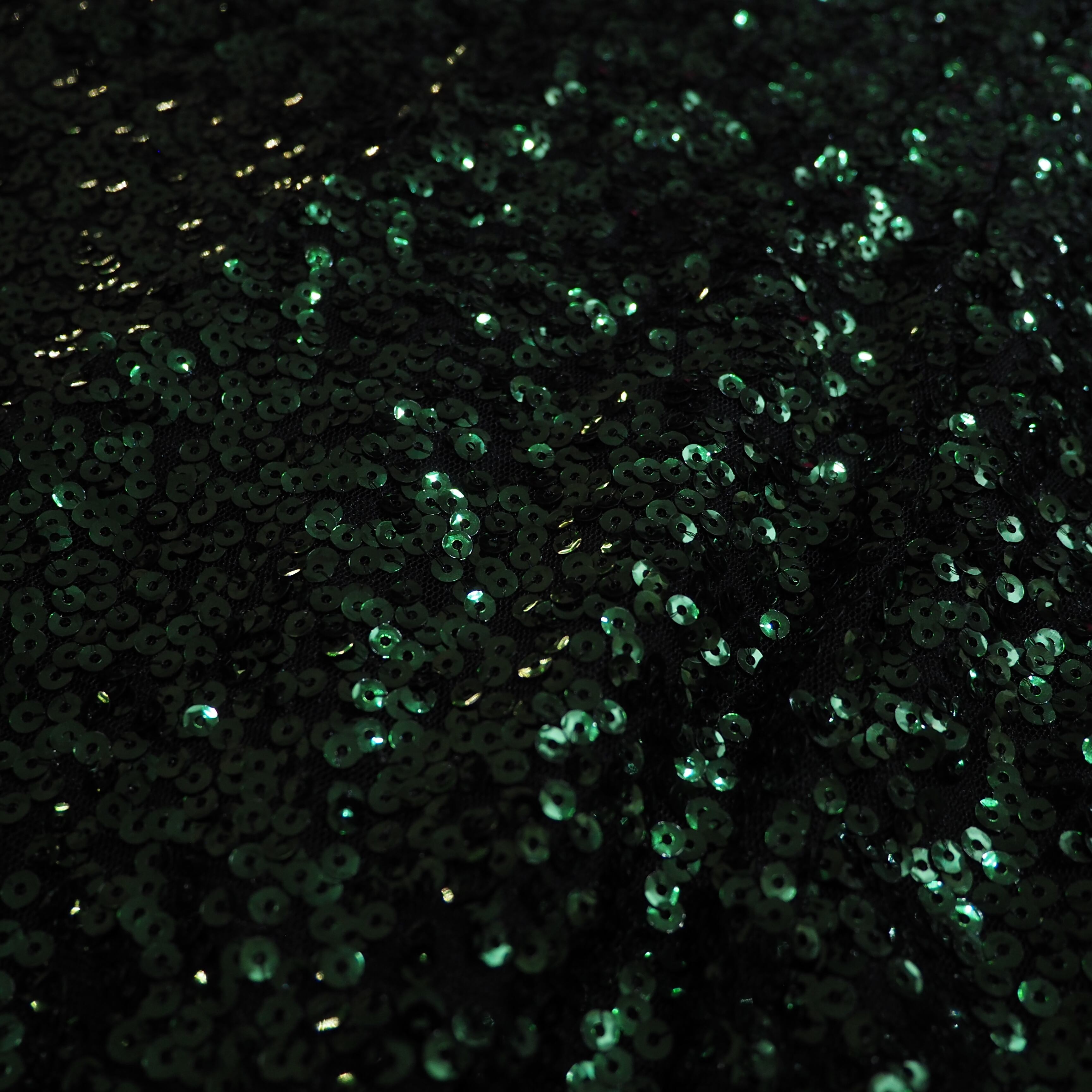 Beautiful Flip sequins Embroidery long sleeve Mock neck