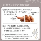 キラキラマグネットとブラウンフレンチの大人上品ドットネイル｜ドットネイル｜形状記憶ネイルチップ｜秋ネイル｜透明感ネイル｜B96