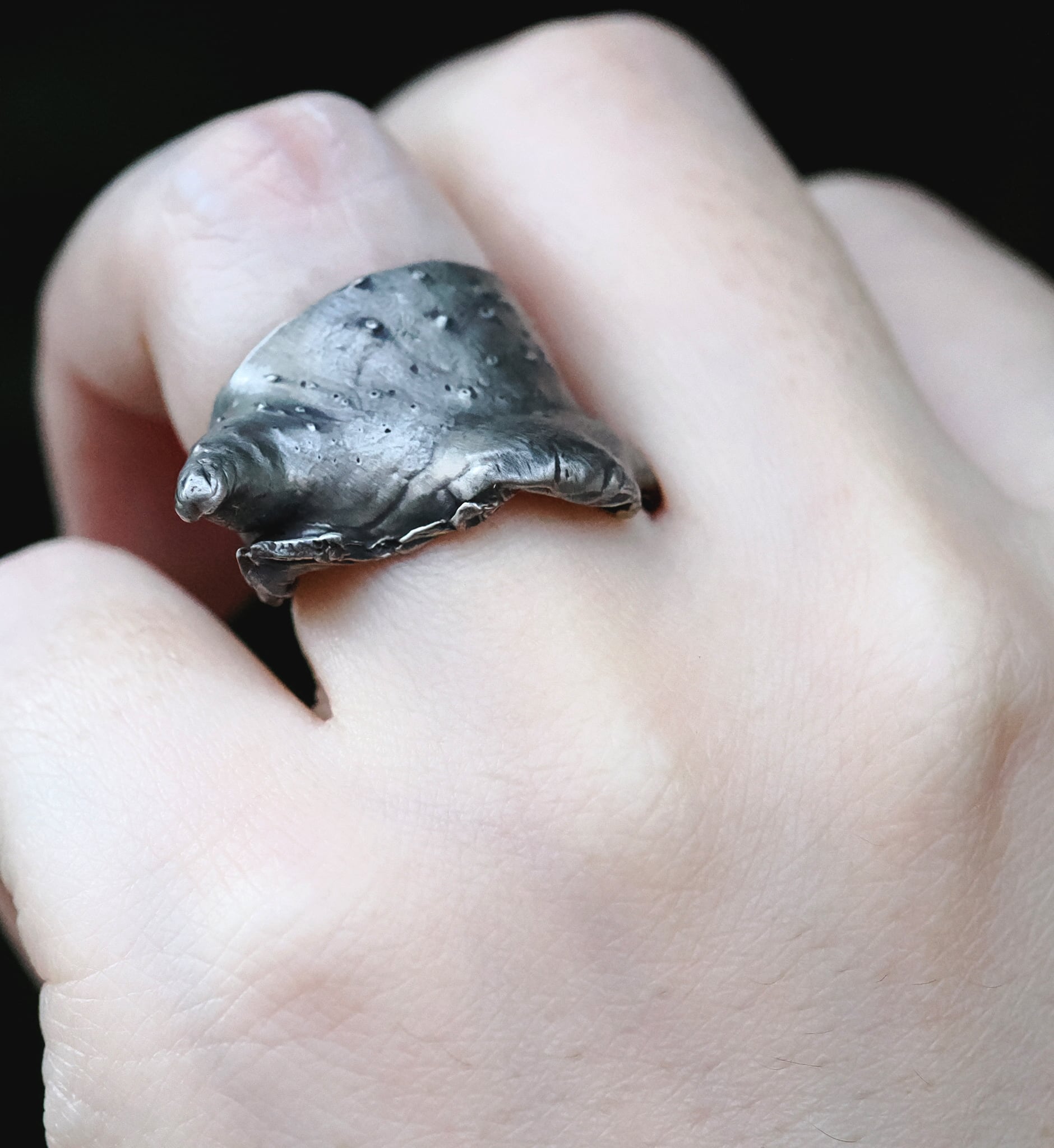 タカアシガニの関節リング (SV) | licoyas