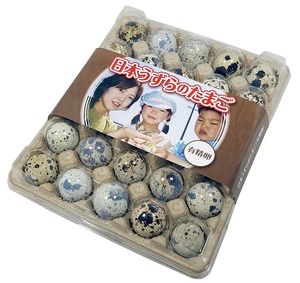 【有精卵】孵化用 豊橋産 日本うずらの卵 30個入り