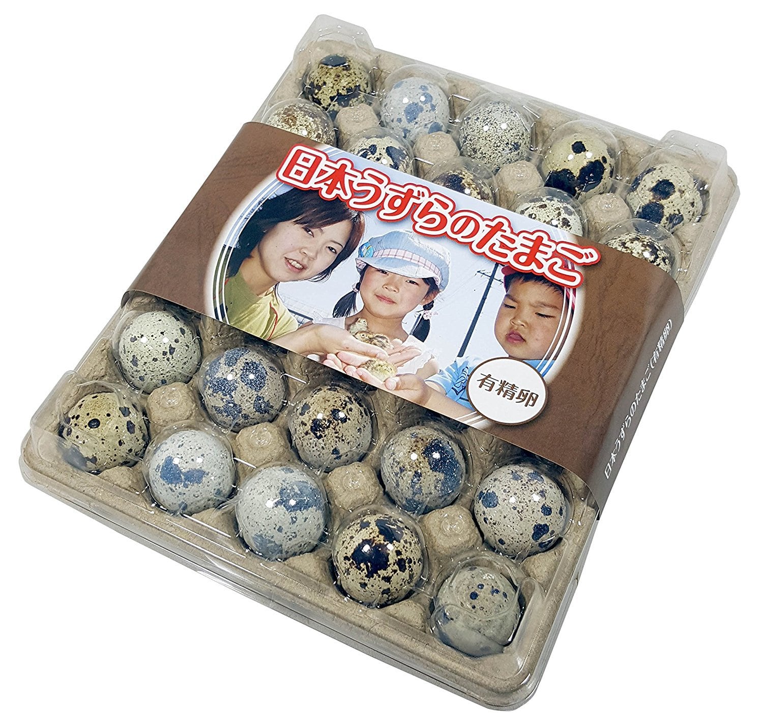 有精卵】孵化用　30個入り　豊橋産　日本うずらの卵　うずらや