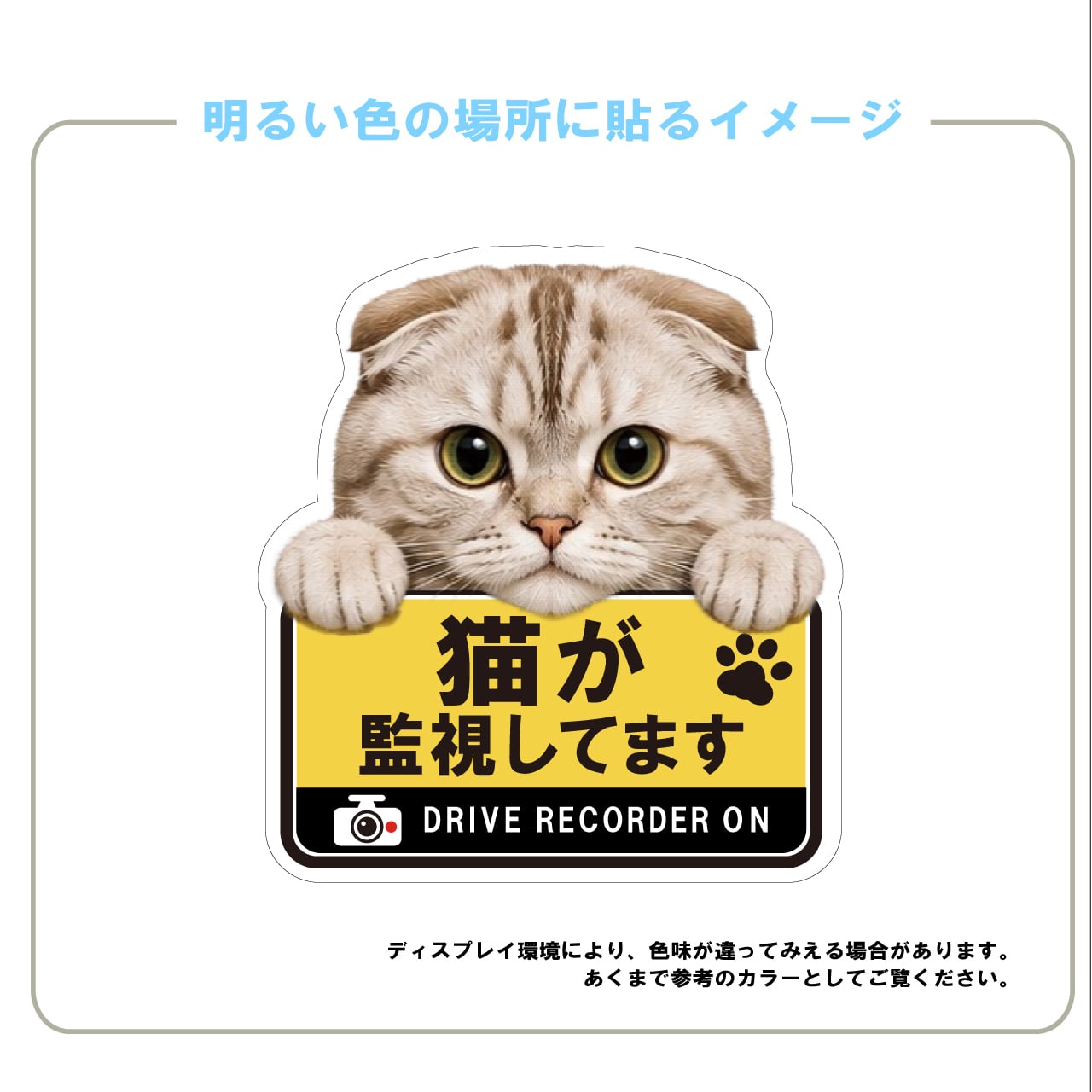スコティッシュフォールド・スコ・猫・ドライブレコーダー・ドラレコステッカー・撮影中・車・ステッカー・インクジェット印刷・屋外用・猫好き・ドライブグッズ・監視しています・おもしろい・かわいい・肉球