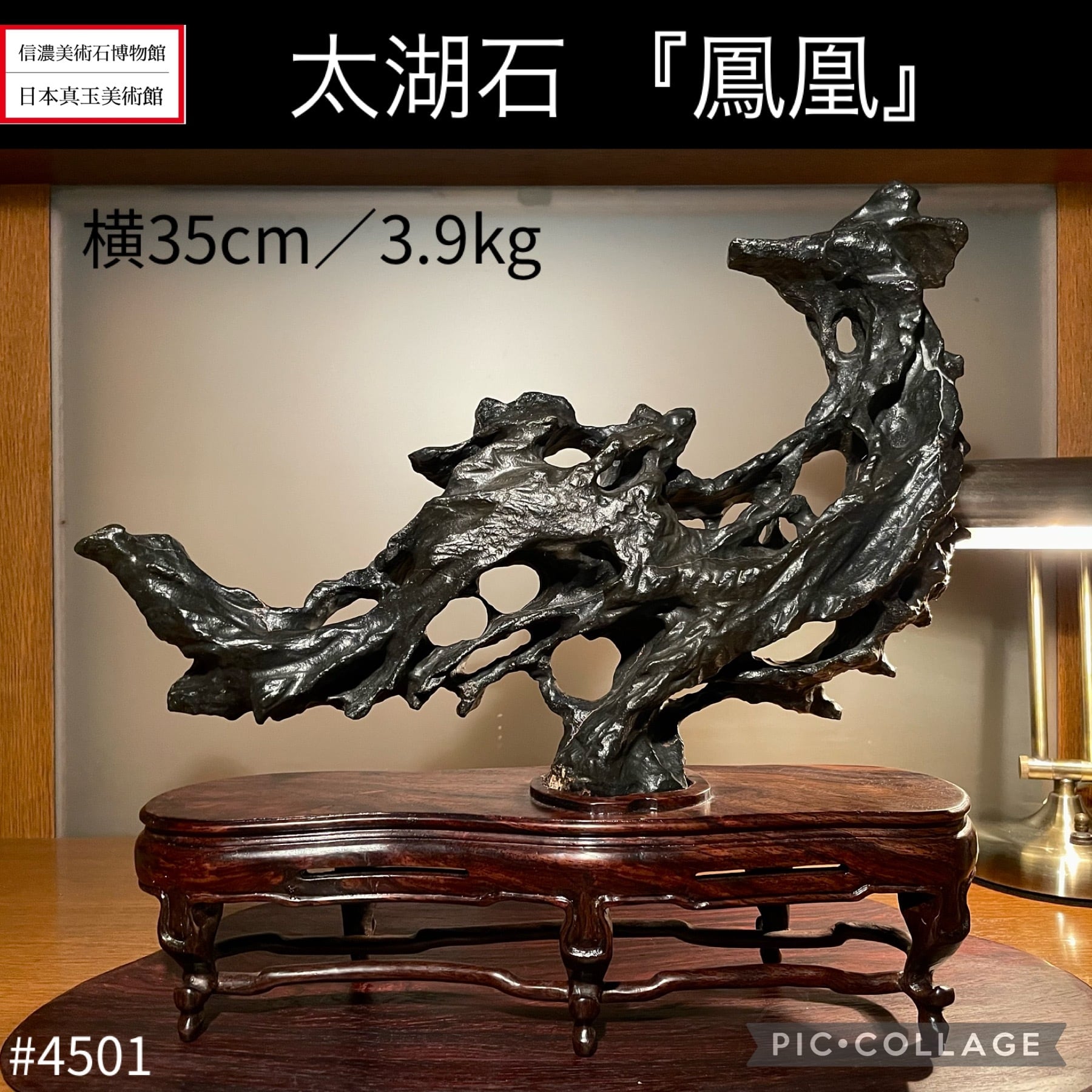 ★水石 太湖石 盆栽 鑑賞石 水石 | 信濃美術石博物館