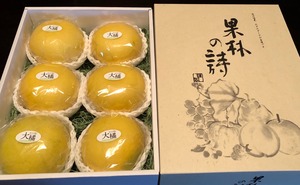 「京免文旦」（大橘）  3kg箱  特選 5～6玉  化粧箱入り　おいしさ格別！