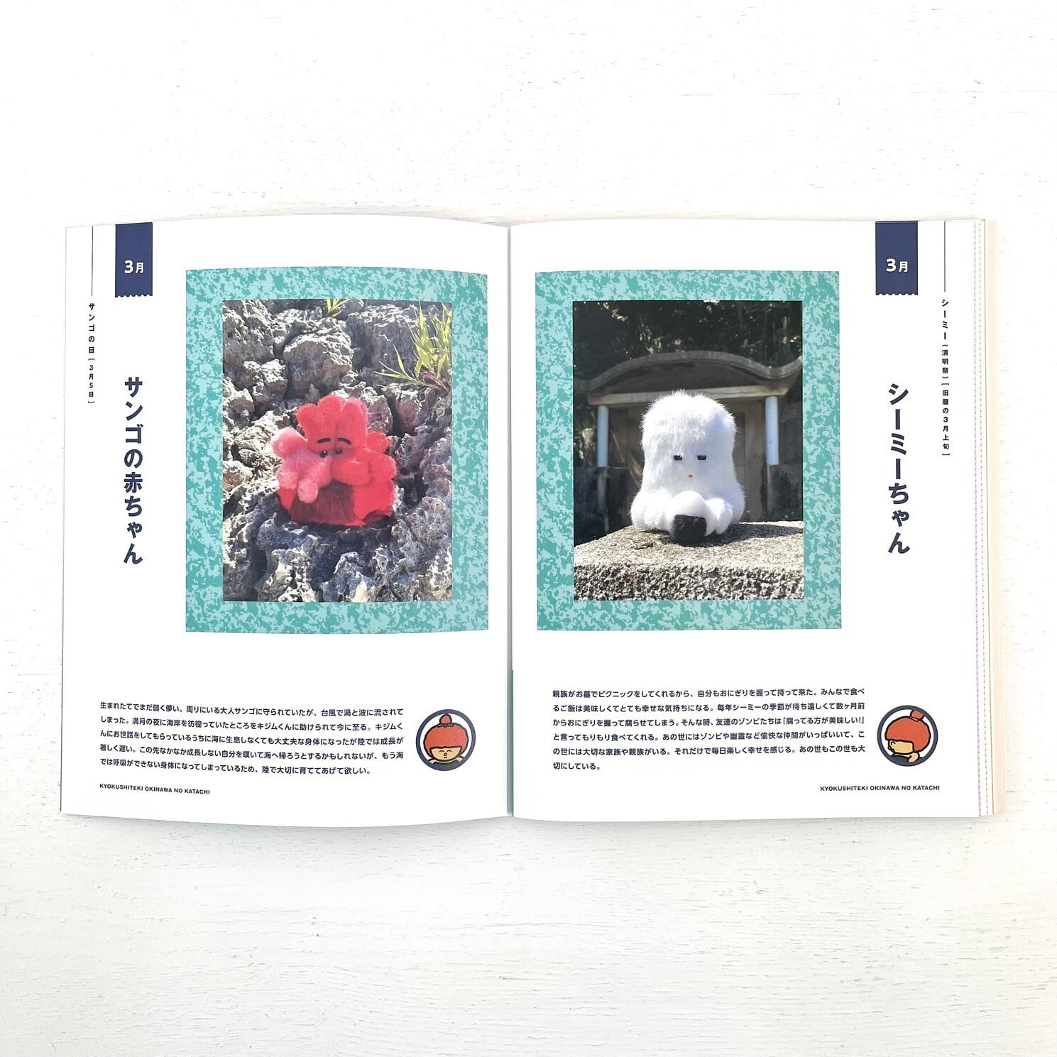 片岡メリヤス | 極私的 OKINAWAのカタチ | new pure plus