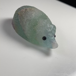 10ハリネズミフローライト