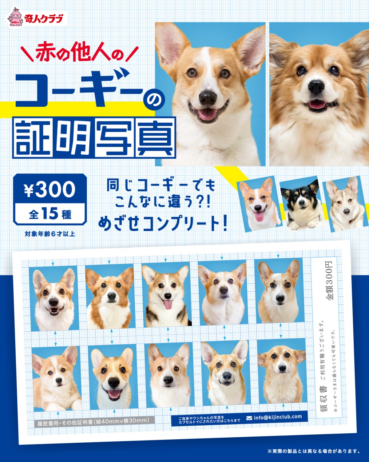 【証明書付き正規品】ゴッホイーブイ　キャンバスプリント仕様　【Sサイズ】 33854895c178d5edb703a2e0607d70