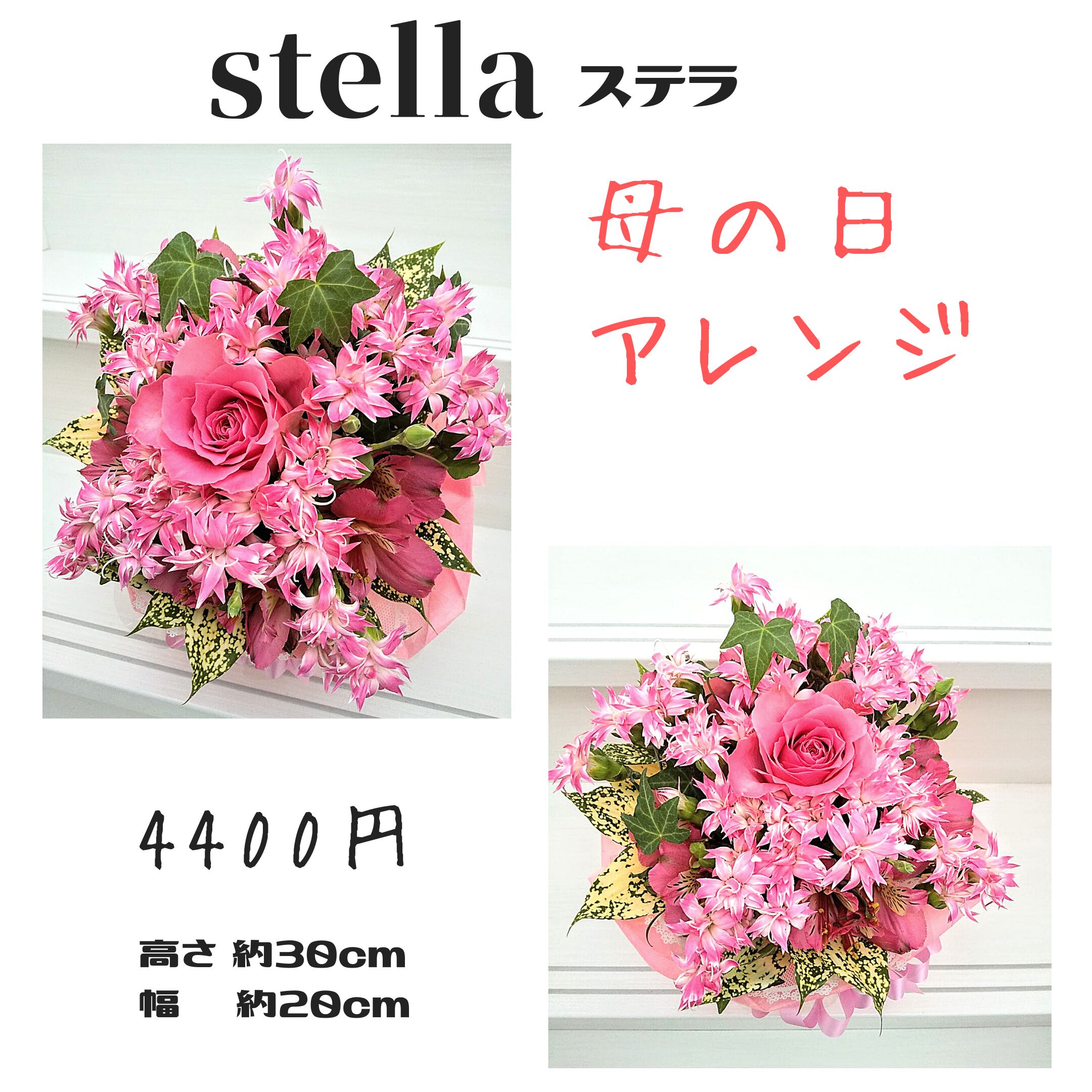 母の日 母の日アレンジ Stella ステラ 札幌市北区太平のお花屋さん 22年 母の日アレンジ 札幌 花屋 花だより 札幌市北区のお 花屋さん