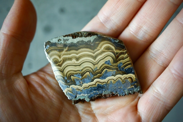 ポーランド産シャーレンブレンド Schalenblende 1882