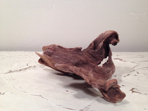 Drift wood DW012