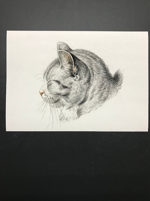 Sketch of a cat byJean Bernard レプリカ