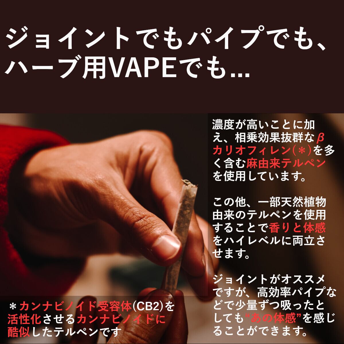 CBG アイソレート 50g オランダ産 送料込み G.L.P. SEEDS CBG アイソレート 50g オランダ産 送料込み G.L.P. SEEDS