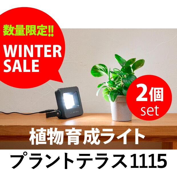 植物育成ライト プラントテラス1115 スタンド LED照明 太陽光 簡単
