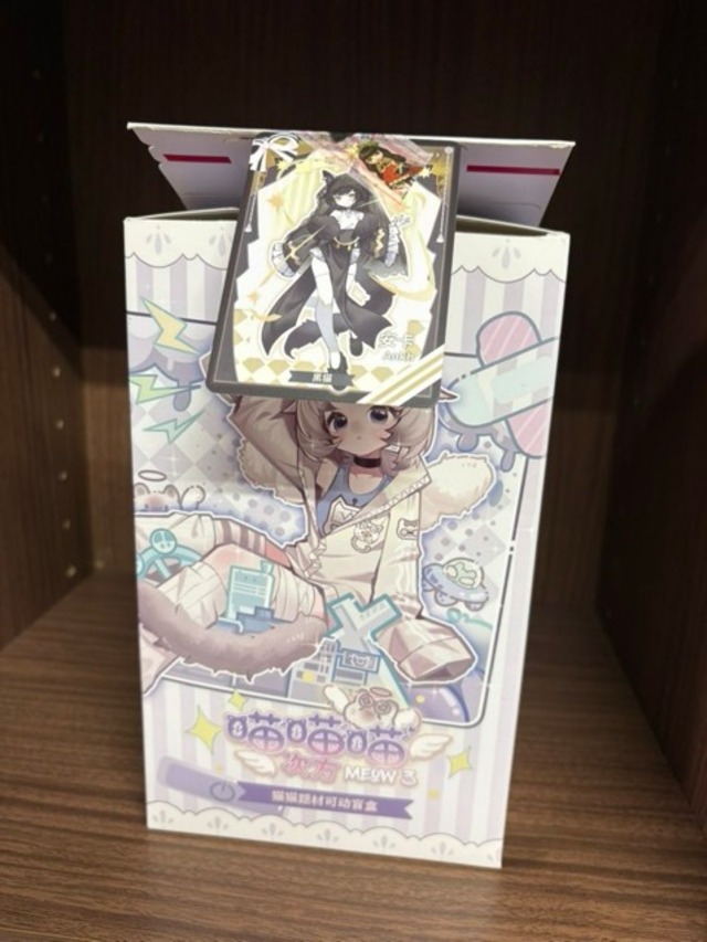 ニャニャニャ次元★開封済み★黒猫