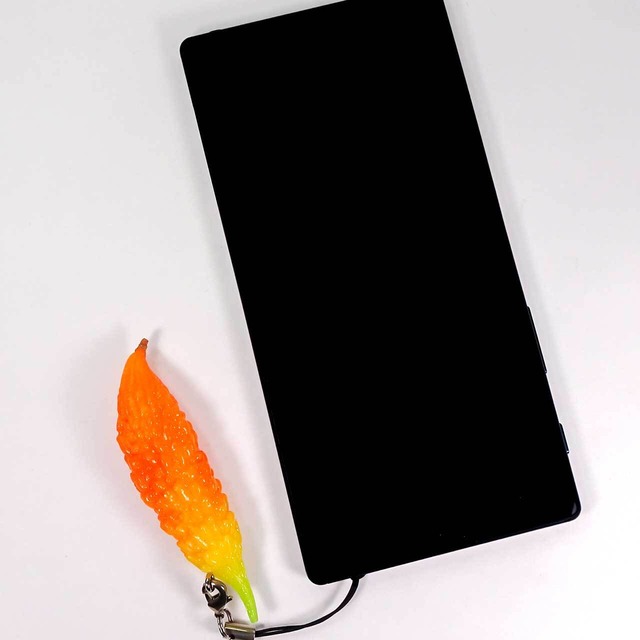 食べちゃいそうな まるごと ゴーヤ 食品サンプル キーホルダー ストラップ