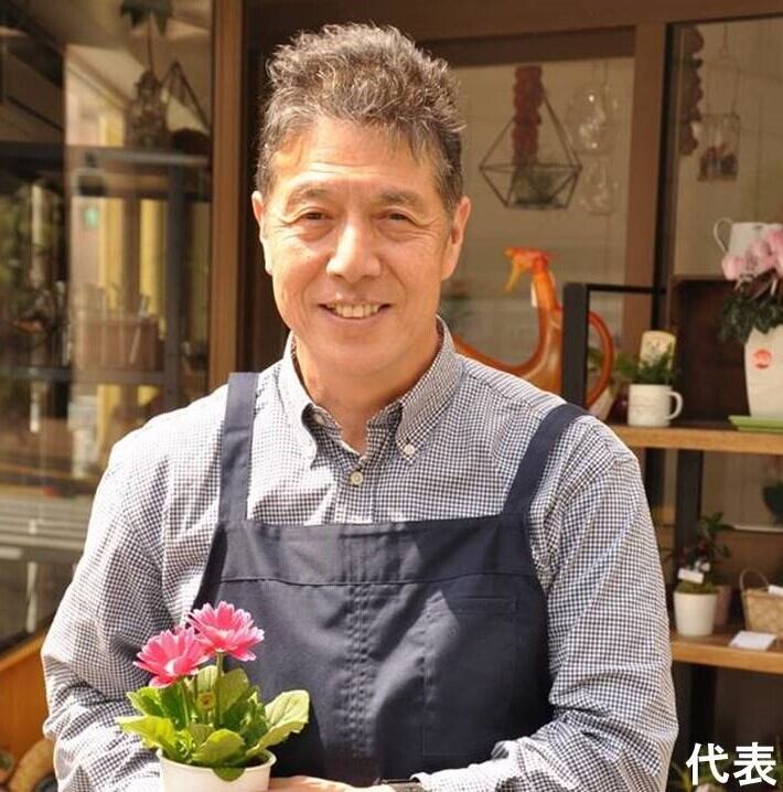 鉢植え 観葉植物の植替え 10号～14号鉢までの 地域限定サービス | 趣味