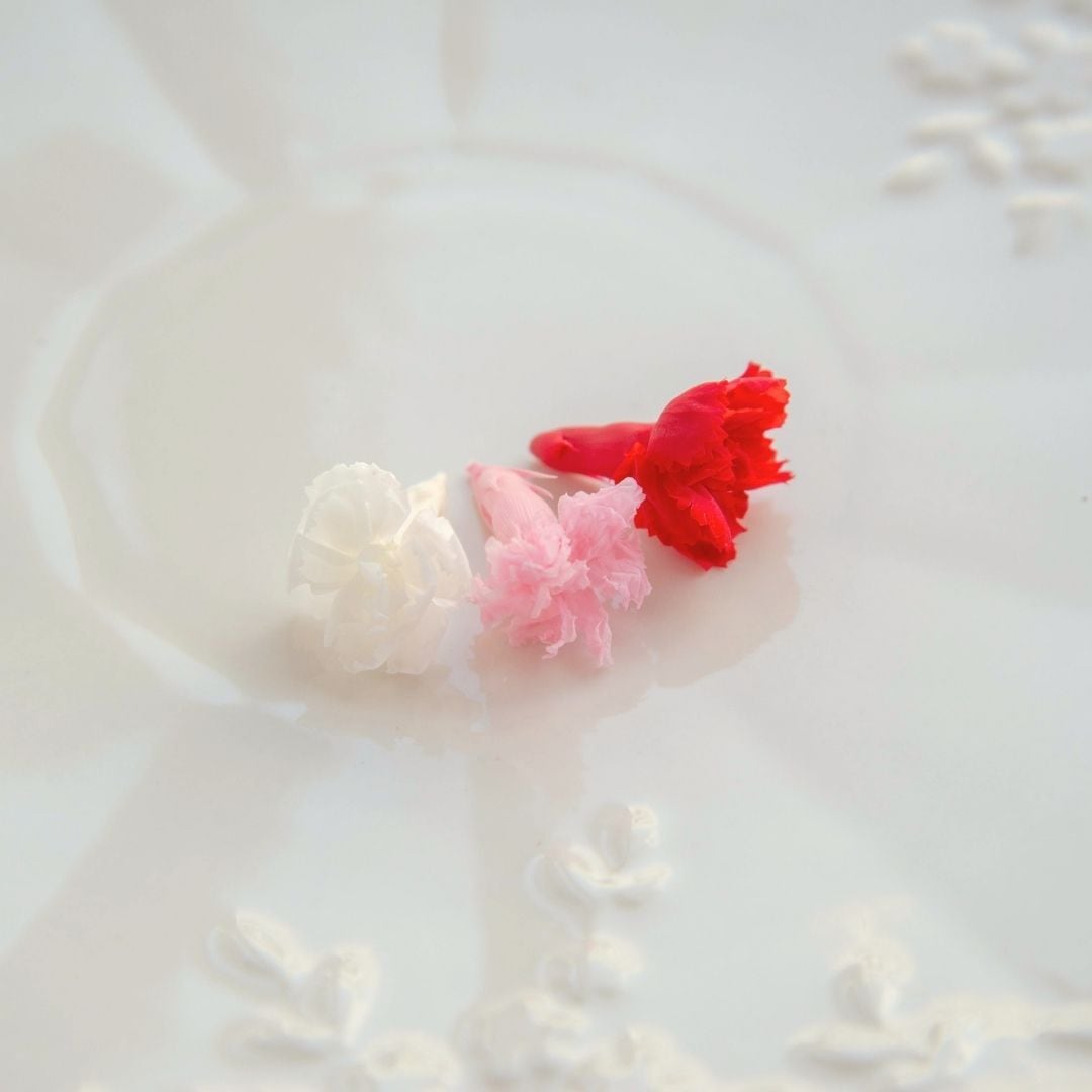マイクロカーネーション 6P | ＋FLOWER・プラスフラワー・プリザーブド
