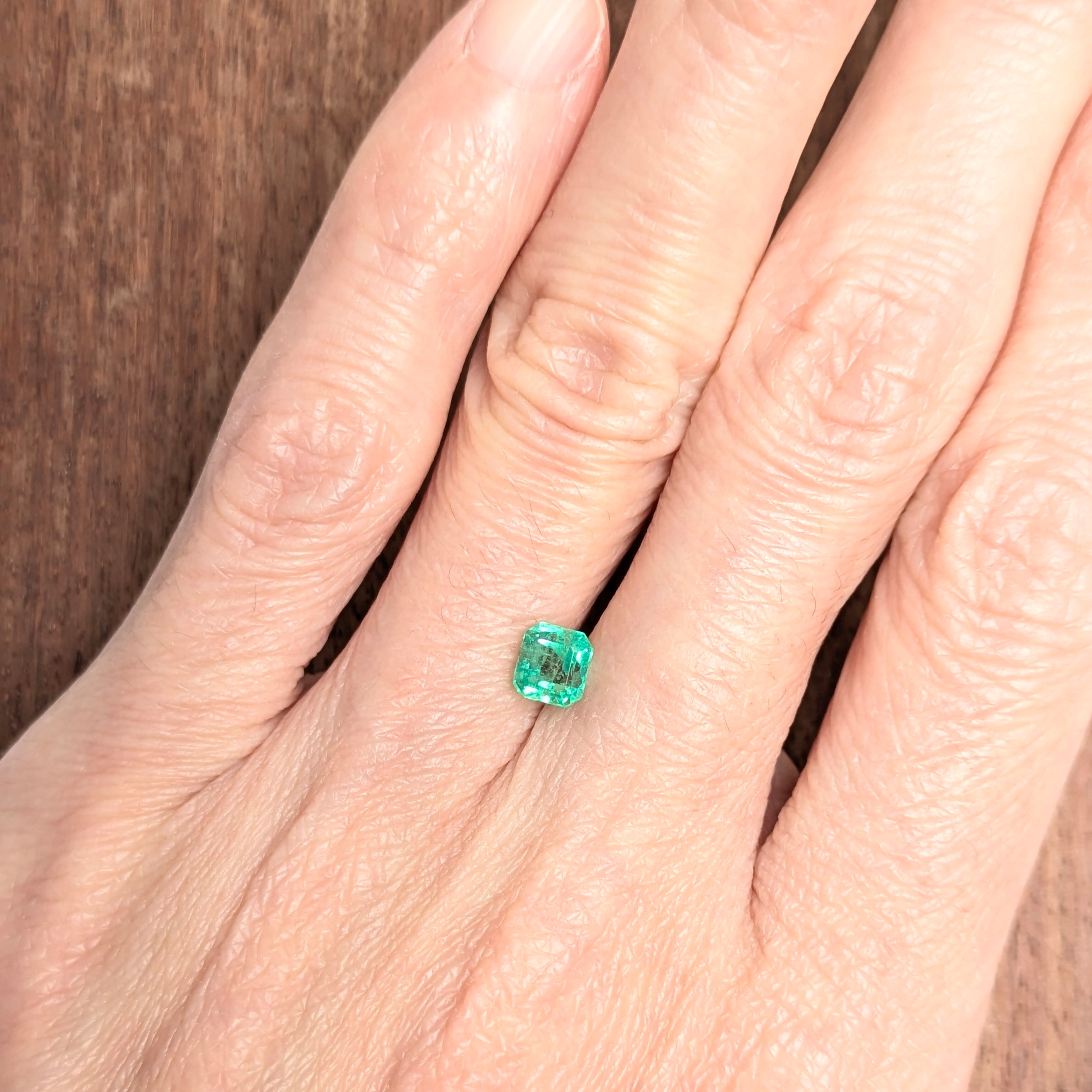 エメラルドルース コロンビア産【0.69ct】PRO208210 | Gem's Subculture