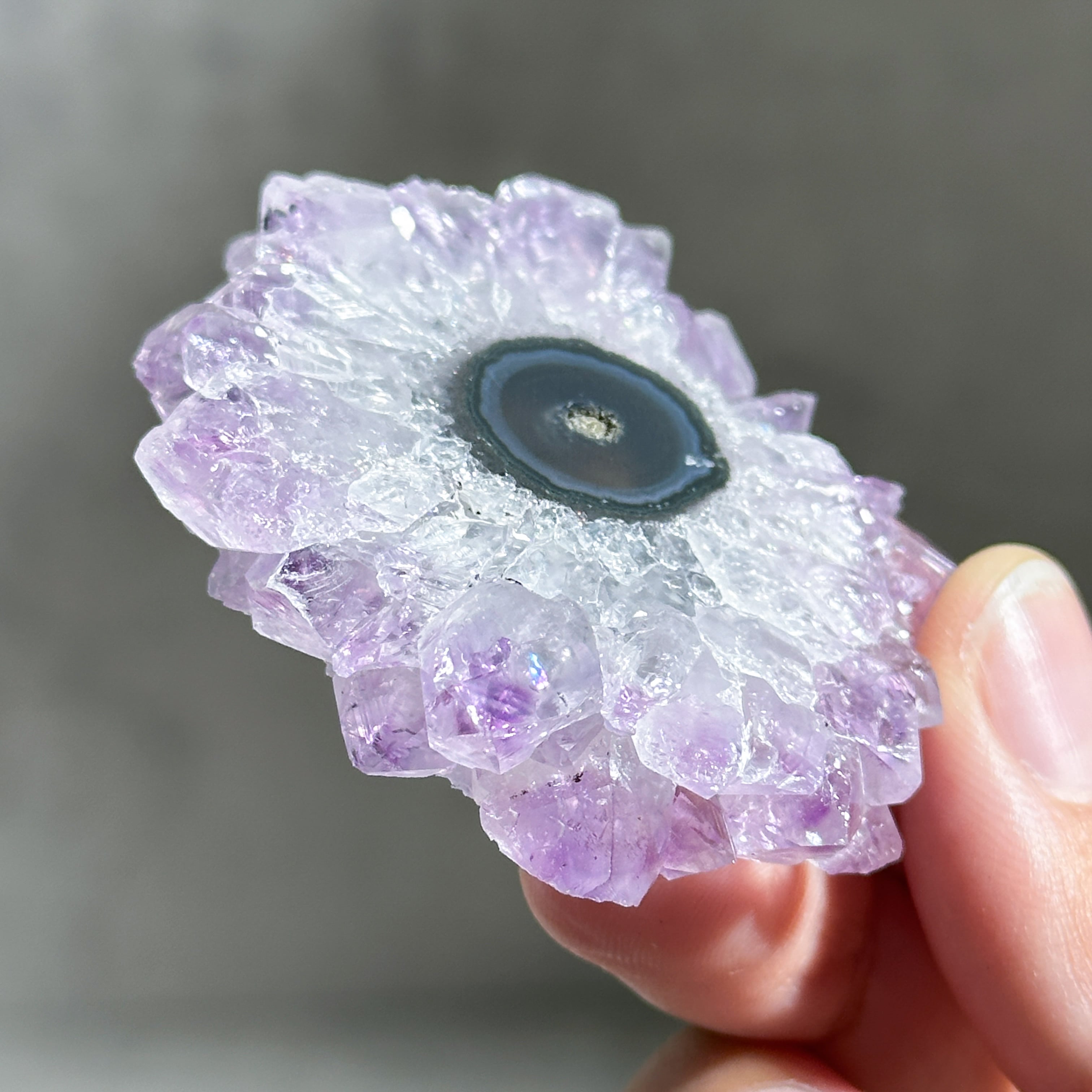 フラワーアメジスト スライス64◇ Flower Amethyst ◇天然石・鉱物