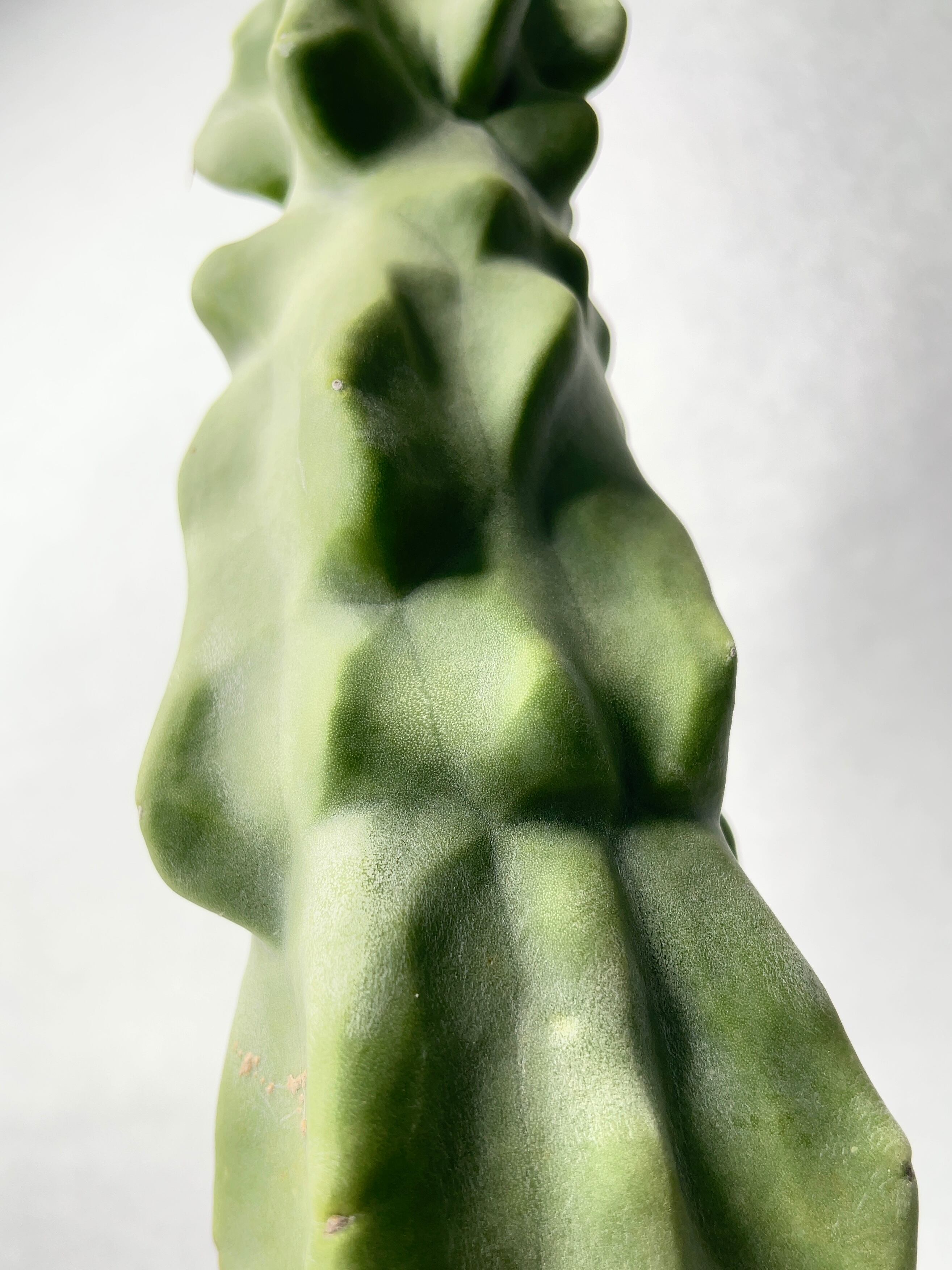 市野伝市窯 | trigger