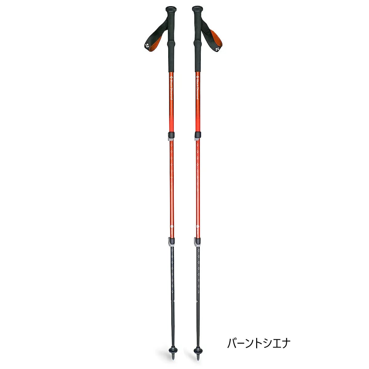 New!】25/26 Spark R&D POW SURFER HEEL LOOPS (M/L)※サイズ間違いの