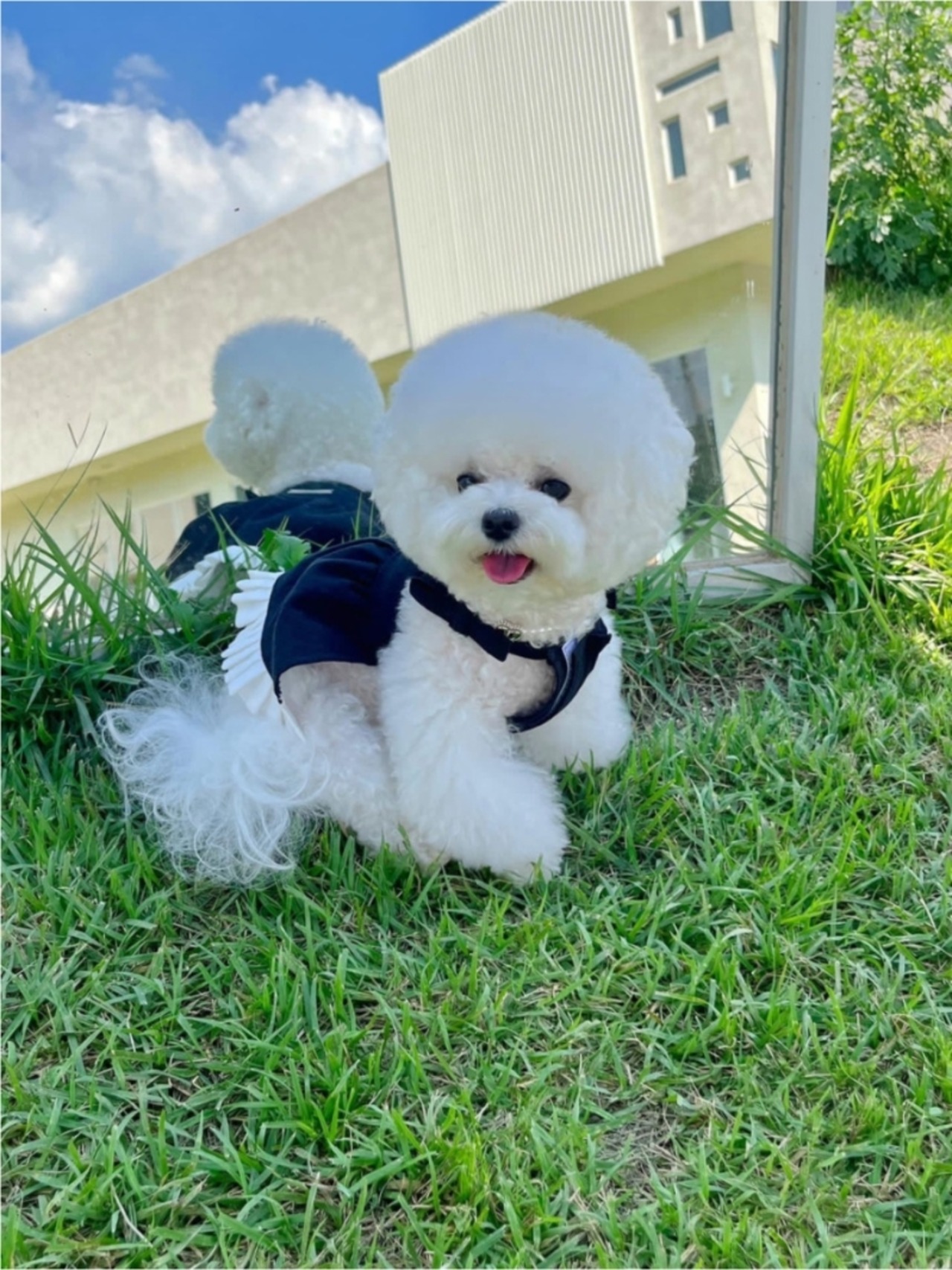 予約  【pecoramou select】 Black Pearl  Dress