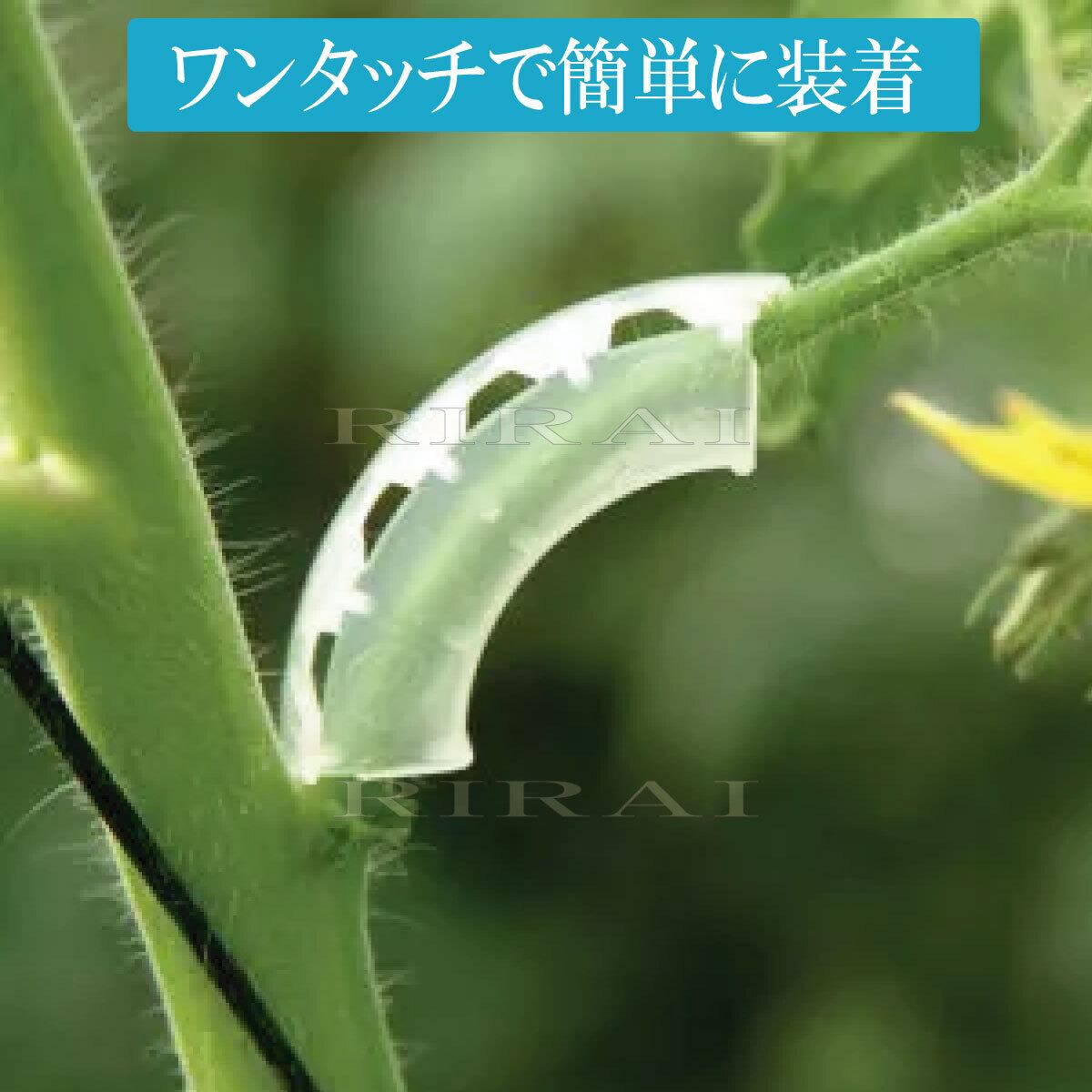 茎サポートクリップ【 100 個入/RIRAI 】 園芸クリップ ガーデニング