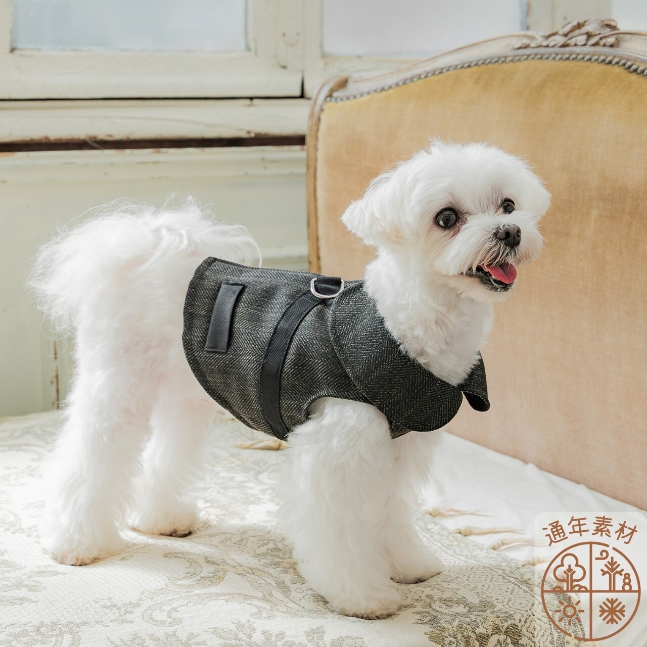 フォーマルハーネス