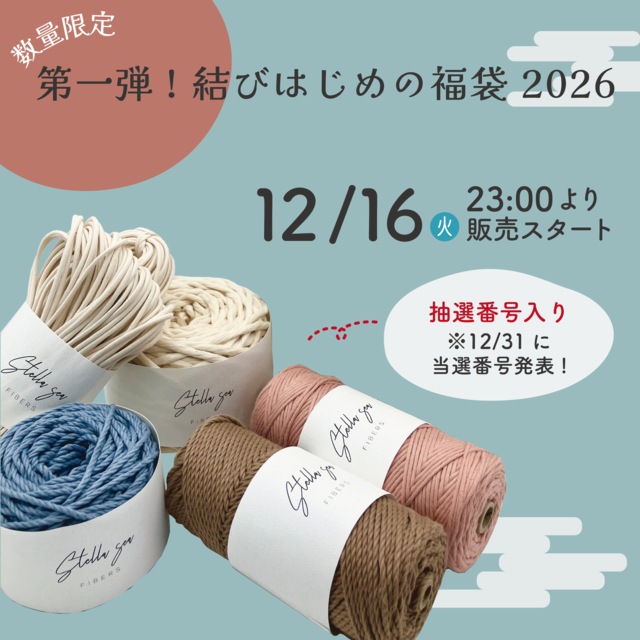 マクラメ用流木 35〜45cm｜2本セット｜天然素材【SSF SELECT】