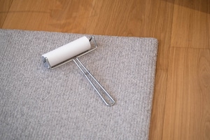 CLEANING LINT ROLLER