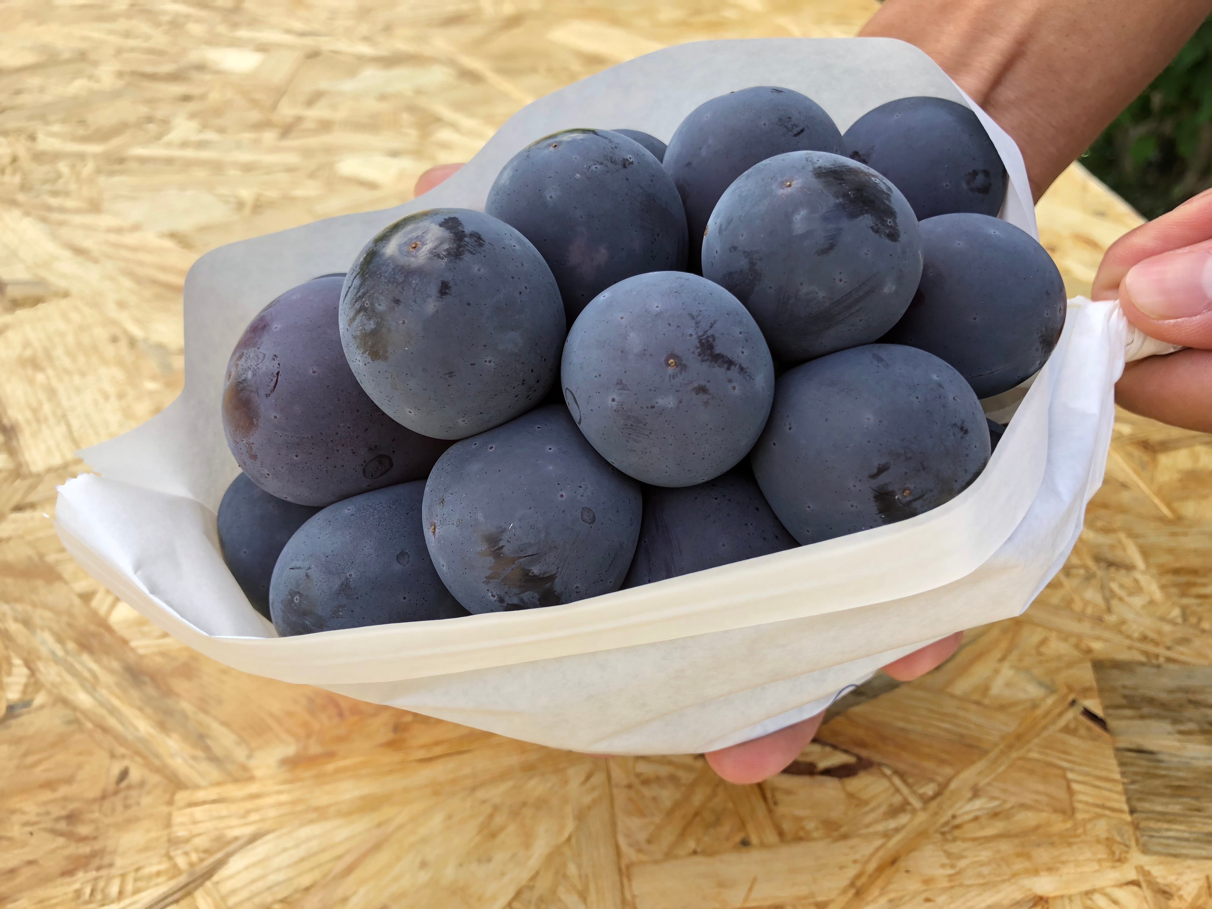 ピオーネ 2kg (岡山県産・種なし)