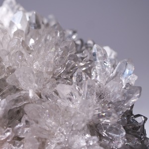 菊花水晶 クリアクォーツ / 原石 標本