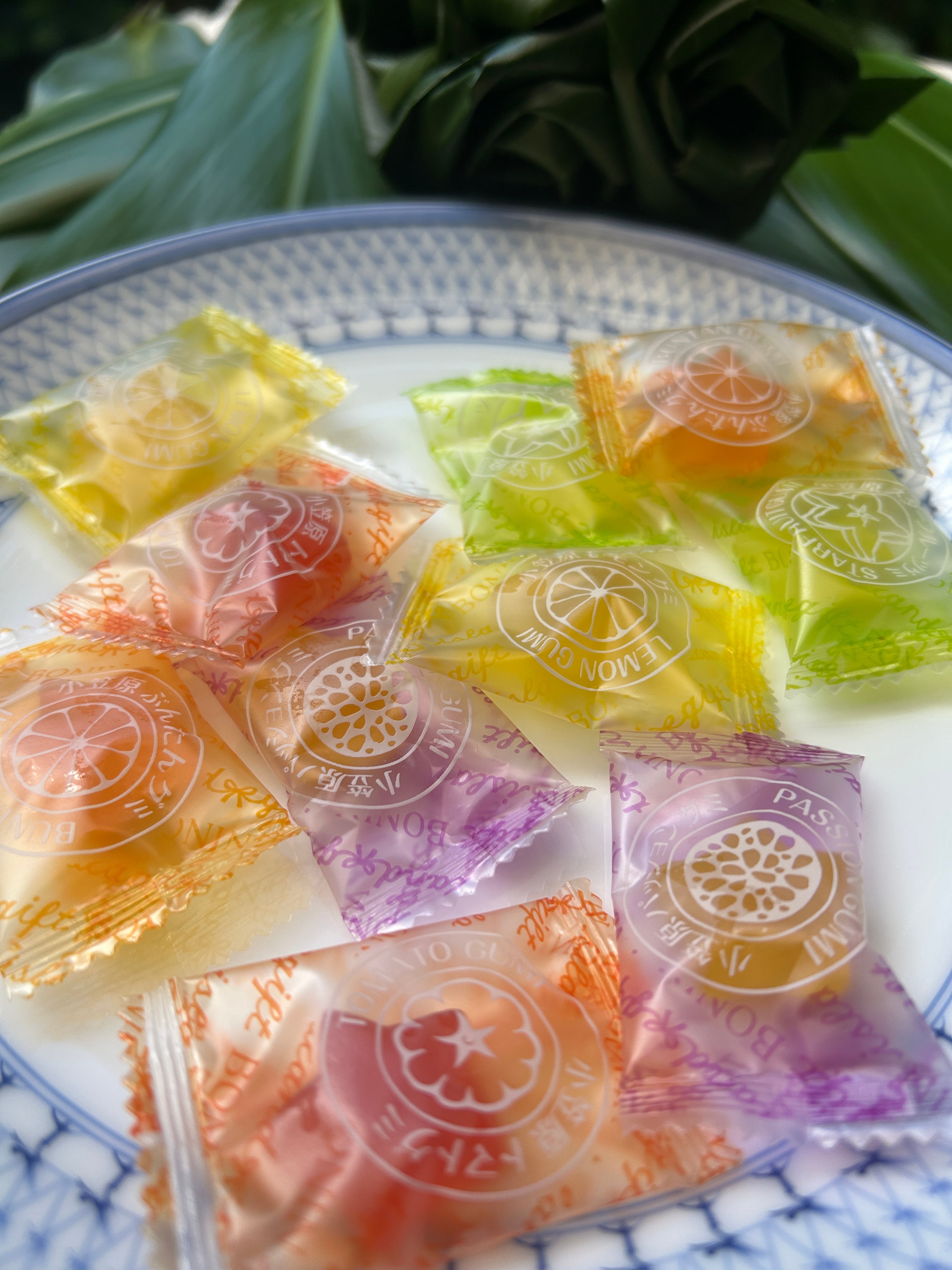 小笠原フルーツグミ トマト味 箱入り | 小笠原土産のノスリ工房