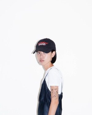 embroidered dad cap "AEROSMITH"