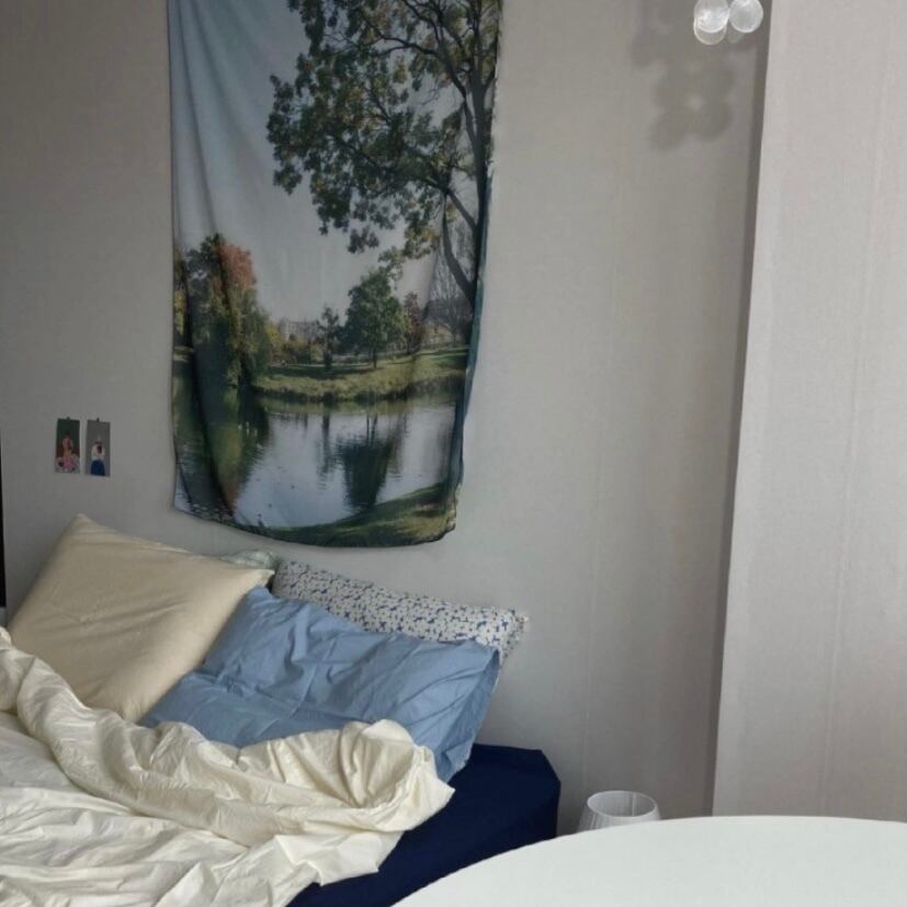 今月限定 特別大特価 韓国 インテリア シフォンファブリックポスター パリ ランキング１位受賞 Www Pattupavadai Com